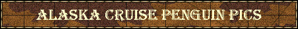 Alaska Cruise Penguin Pics