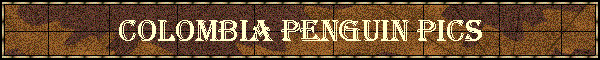 Colombia Penguin Pics