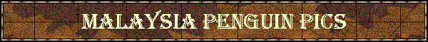 Malaysia Penguin Pics
