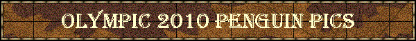 Olympic 2010 Penguin Pics