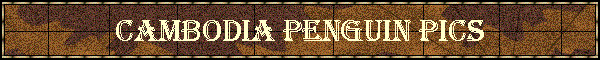 Cambodia Penguin Pics