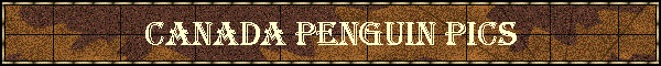 Canada Penguin Pics