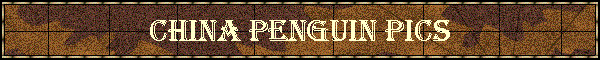 China Penguin Pics