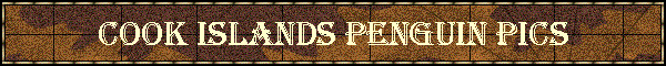 Cook Islands Penguin Pics