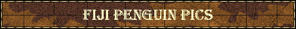 Fiji Penguin Pics