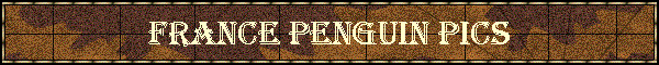 France Penguin Pics