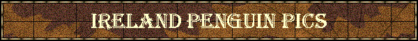 Ireland Penguin Pics