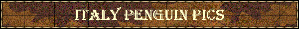 Italy Penguin Pics