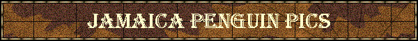 Jamaica Penguin Pics