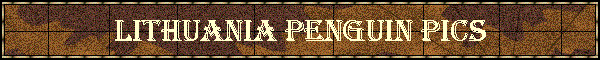 Lithuania Penguin Pics