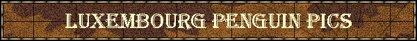 Luxembourg Penguin Pics