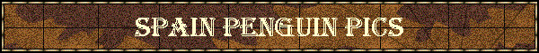 Spain Penguin Pics