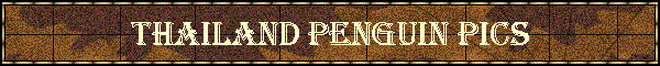 Thailand Penguin Pics