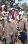africa23.jpg (91104 bytes)