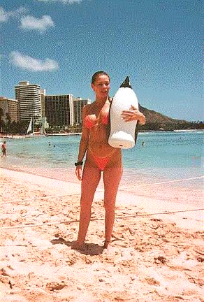 http://www.thetravelingpenguin.com/babe.jpg