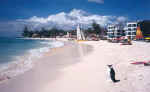 bajanbeach2.jpg (13104 bytes)