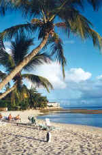 bajanbeach3.jpg (23715 bytes)