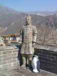 china6.jpg (77298 bytes)