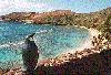 Image - Hanauma Bay