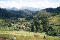 hillside.jpg (77115 bytes)