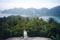 kohphiphi3.jpg (34092 bytes)