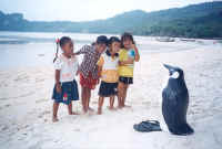 kohphiphi4.jpg (32677 bytes)