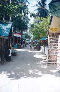 kohphiphi5.jpg (43769 bytes)