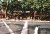 Image - International Market Place