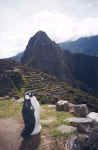 peru8.jpg (37122 bytes)