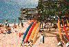 Image - Surfboards