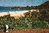 Image - Waimea Bay